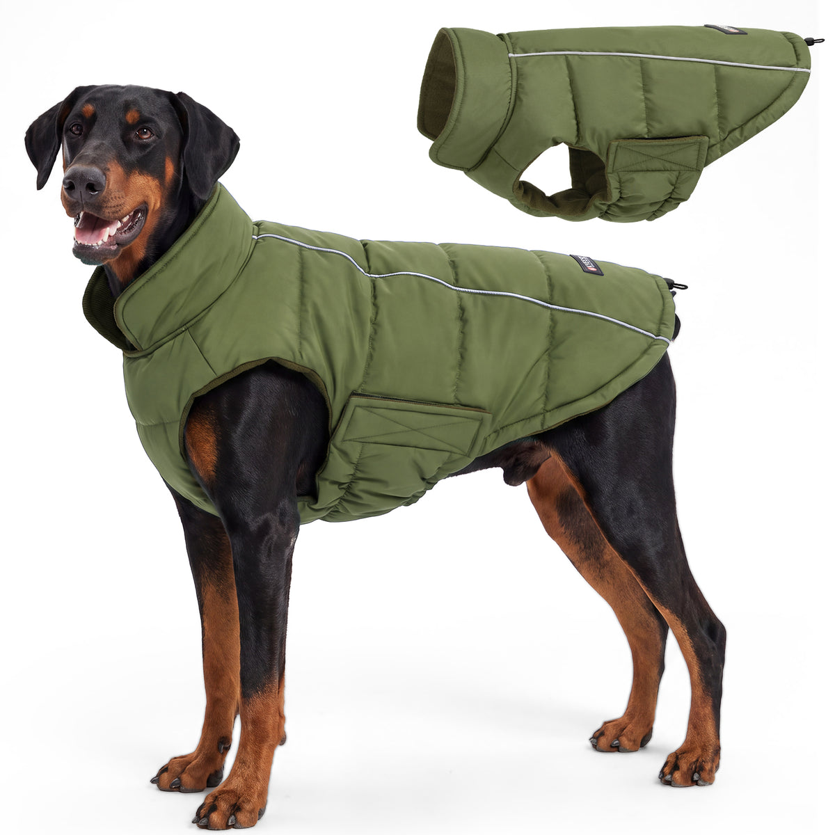 Green Reflective Dog Winter Coat gallery image 3