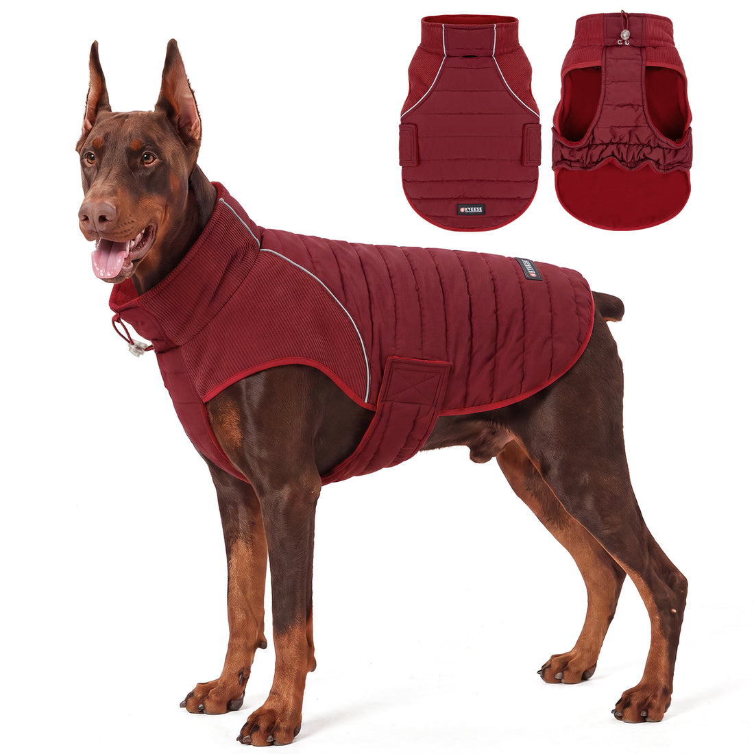 Red Waterproof Lined Dog Coat gallery image 3