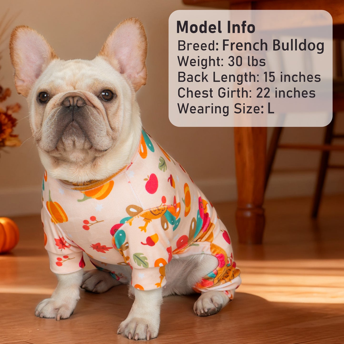 Dog onesie pajamas in cream with colorful Thanksgiving turkey and leaf print