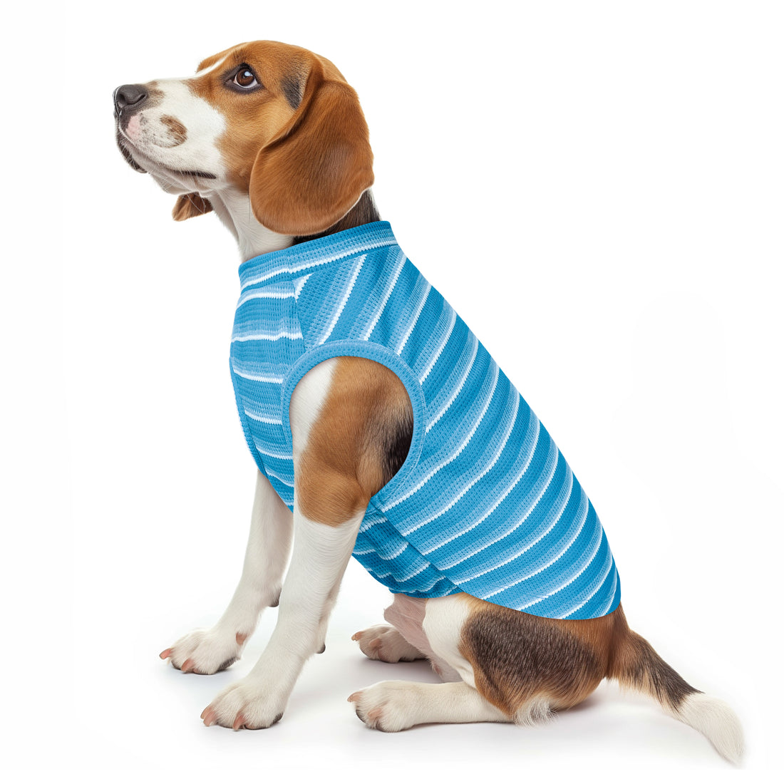 Blue striped dog shirt with waffle texture and round neck, worn by small dog.