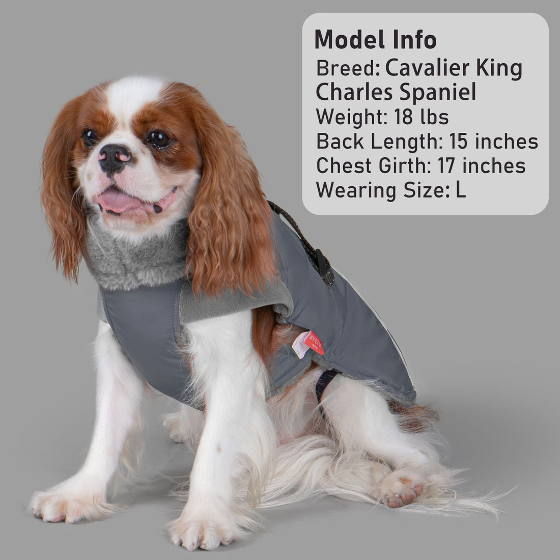 Fleece-lined windproof winter dog coat in gray with gray faux-fur collar and chest strap.