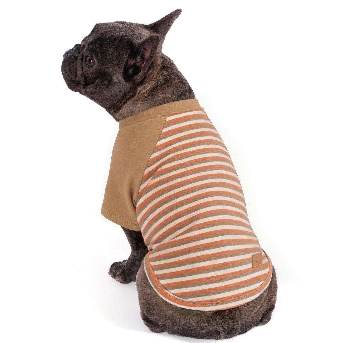 Tan dog raglan sleeve shirt with orange and white striped side and sleeve panels