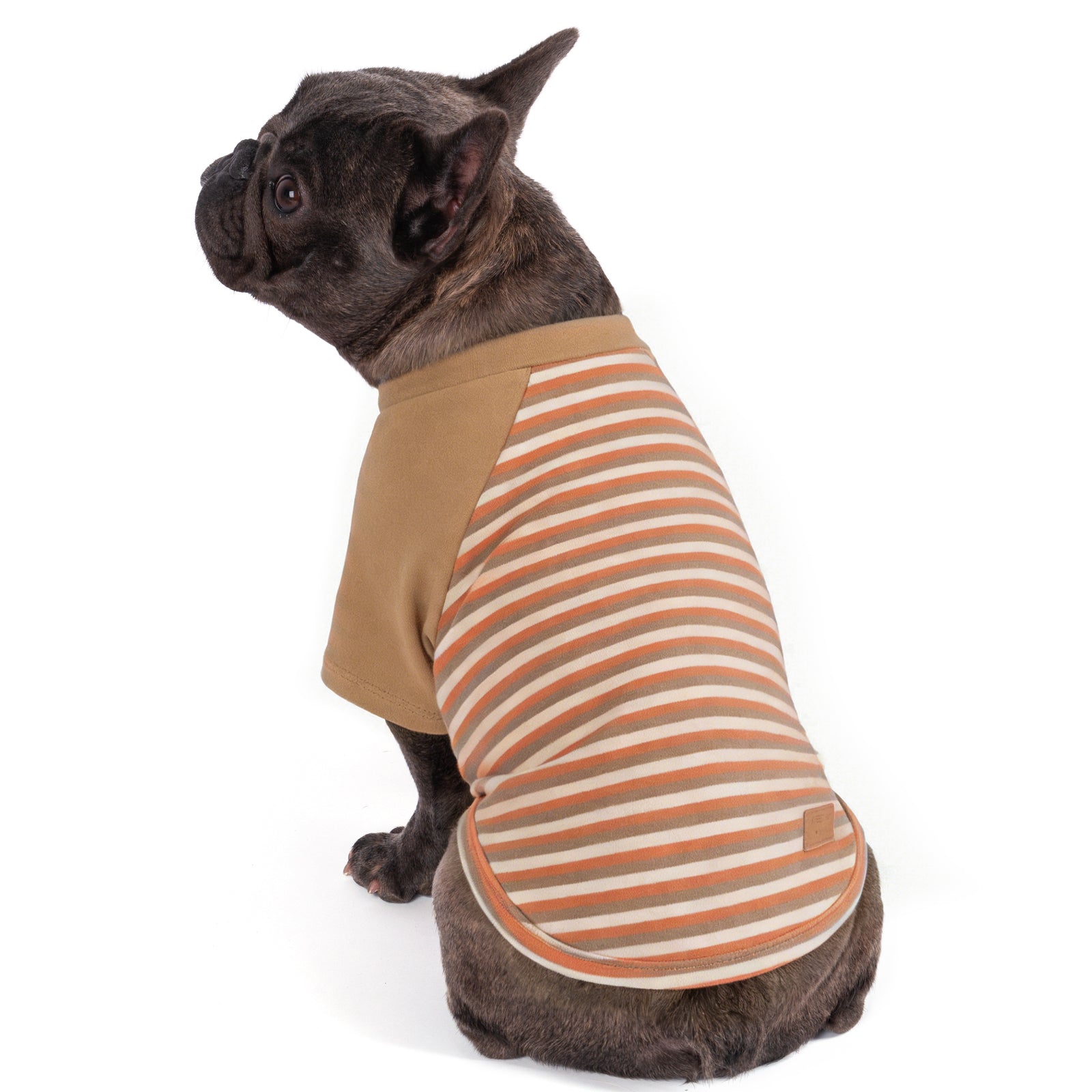 Tan dog raglan sleeve shirt with orange and white striped side and sleeve panels