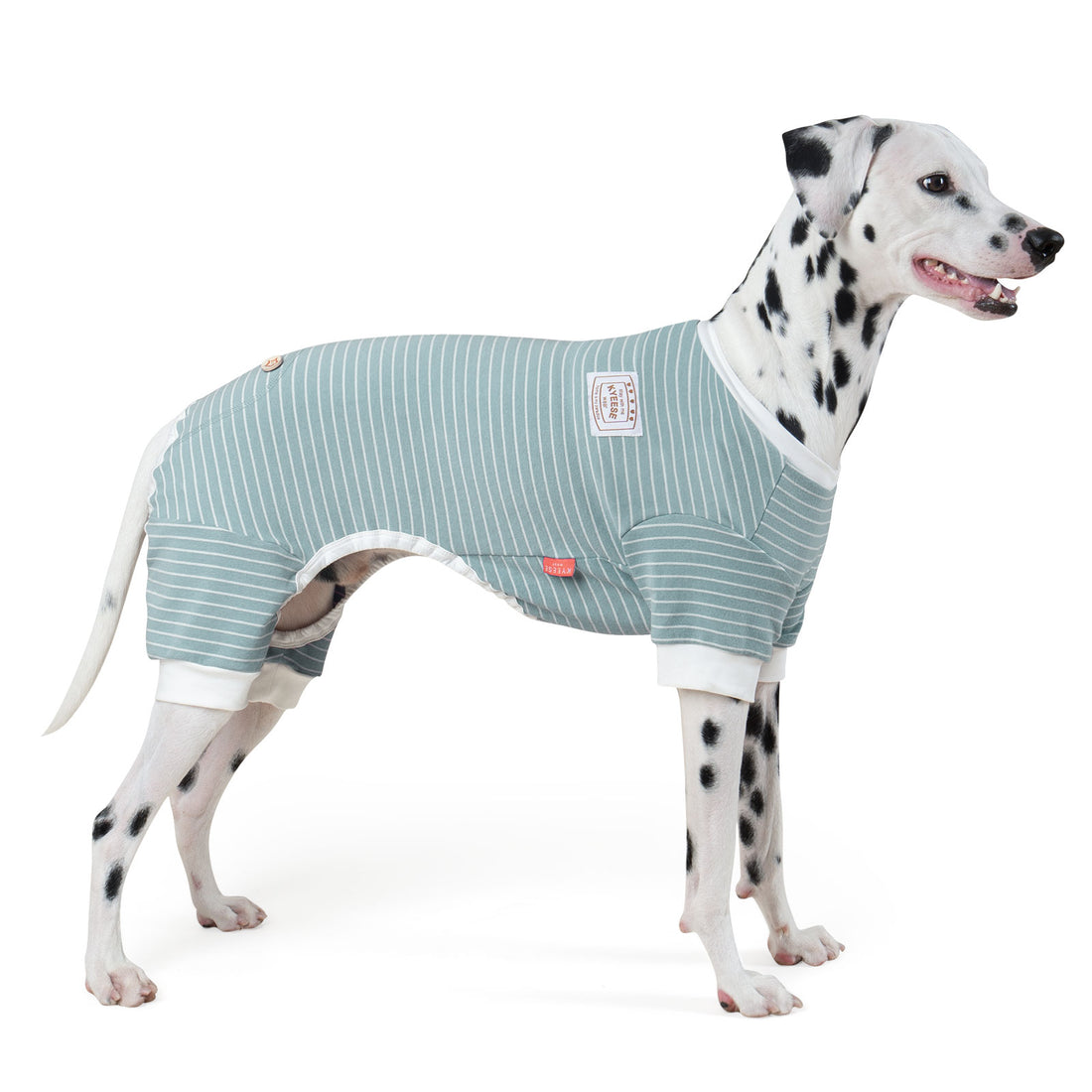 Blue striped dog onesie pajamas with belly cutout and chest logo patch
