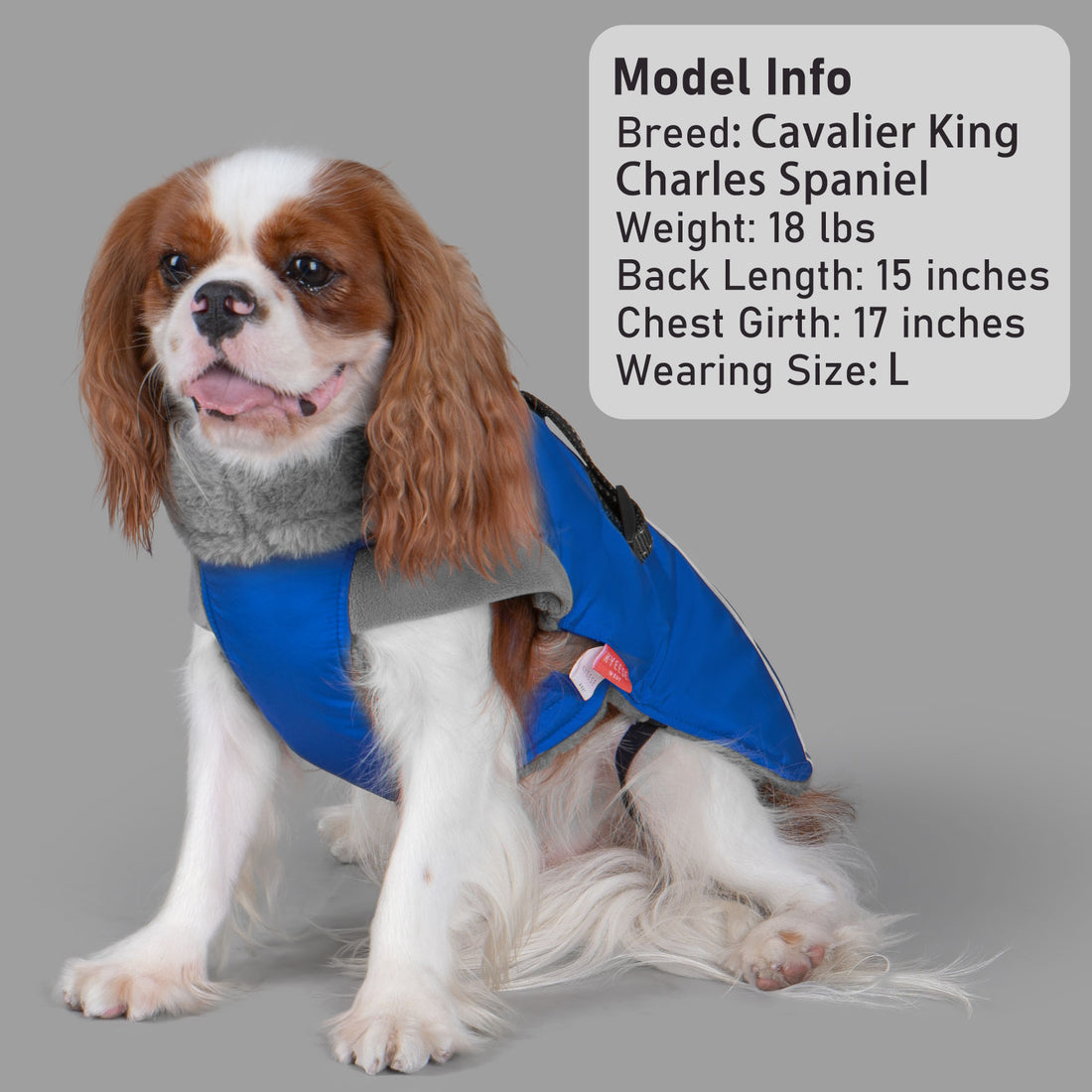 Blue fleece-lined dog coat on a dog with front chest strap