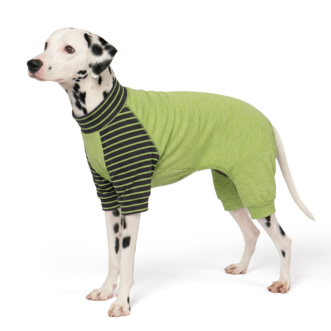 Green dog pajamas with dark green and lime striped turtleneck top and full legs