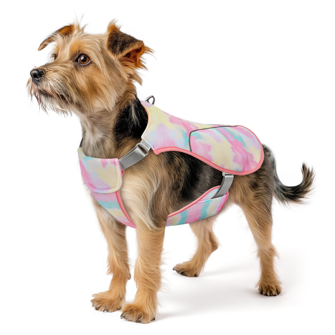 Pink dog cooling vest with watercolor pattern and adjustable gray neck and belly straps