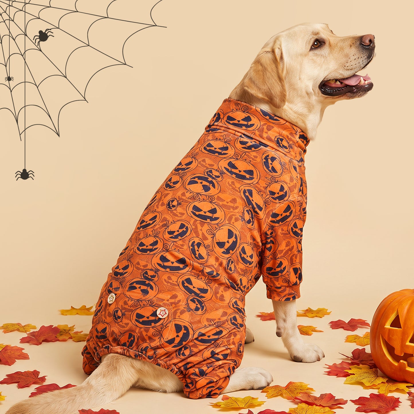 Orange Pumpkin Dog Halloween Pajamas