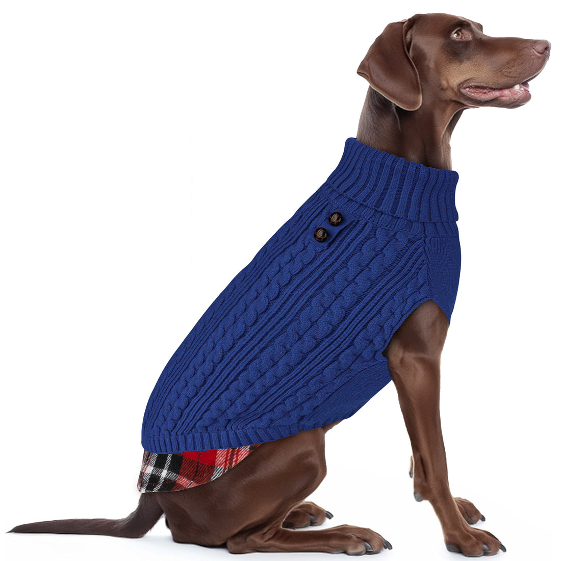 Orange turtleneck dog sweater with cable knit design and plaid hem panel