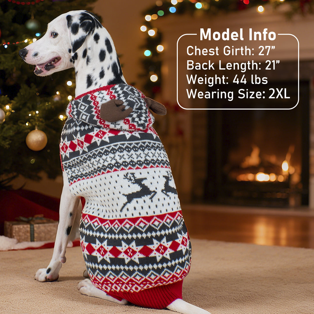 Reindeer antler-hood dog sweater on spotted dog, red and black-white fair isle knit