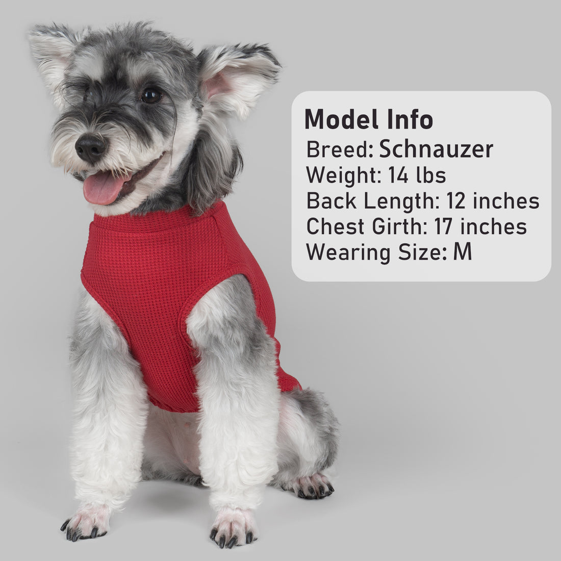 Waffle-knit dog shirt, red with short sleeves and open belly for fit