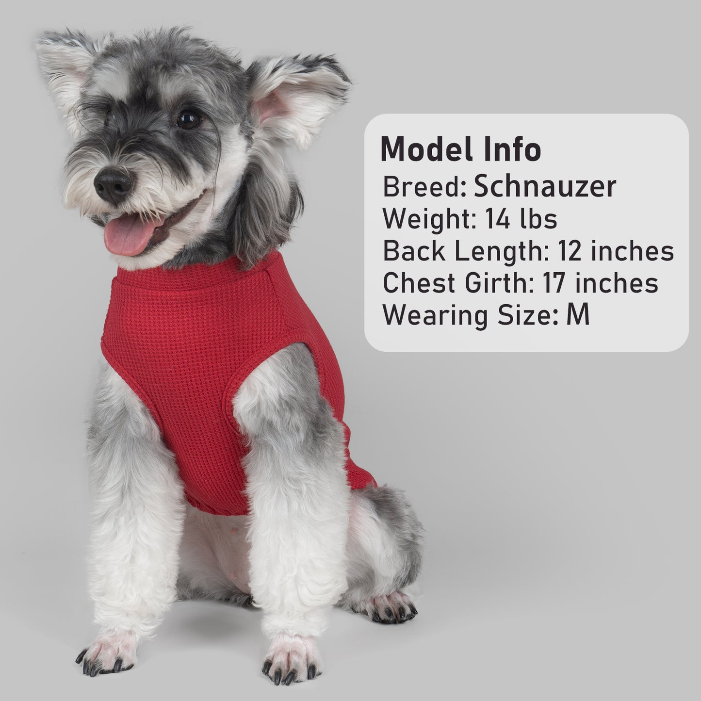 Waffle-knit dog shirt, red with short sleeves and open belly for fit