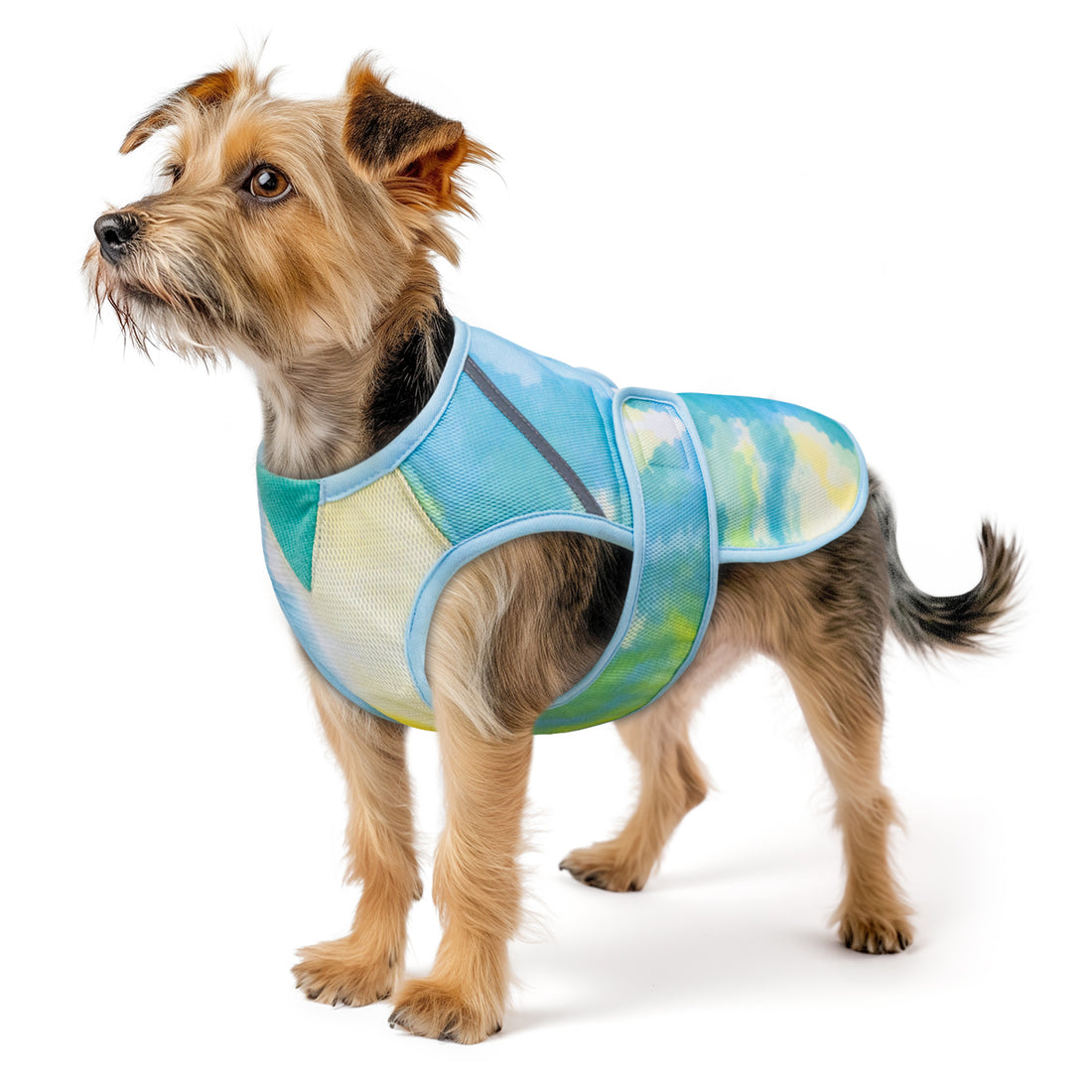 Blue and green tie-dye lightweight mesh cooling dog vest on a small dog