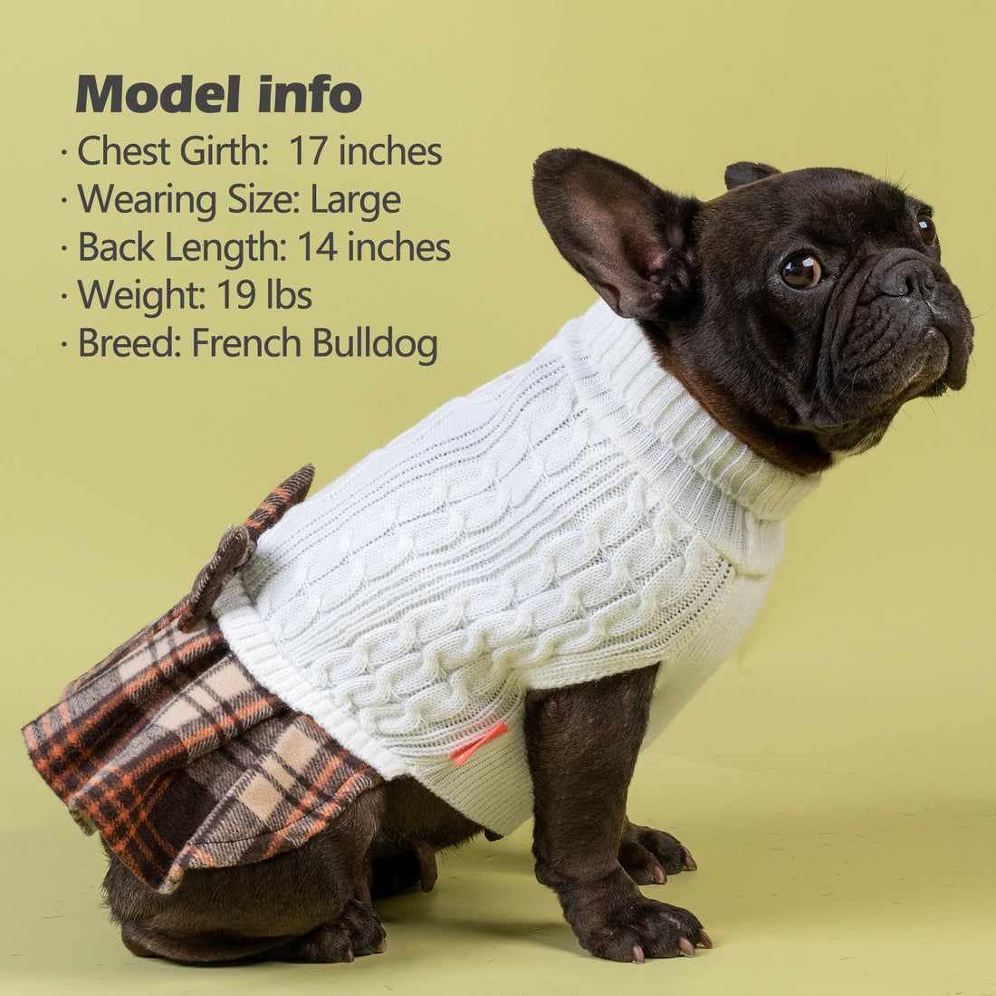 Cream cable knit dog sweater with turtleneck, plaid hem, and plaid bow detail