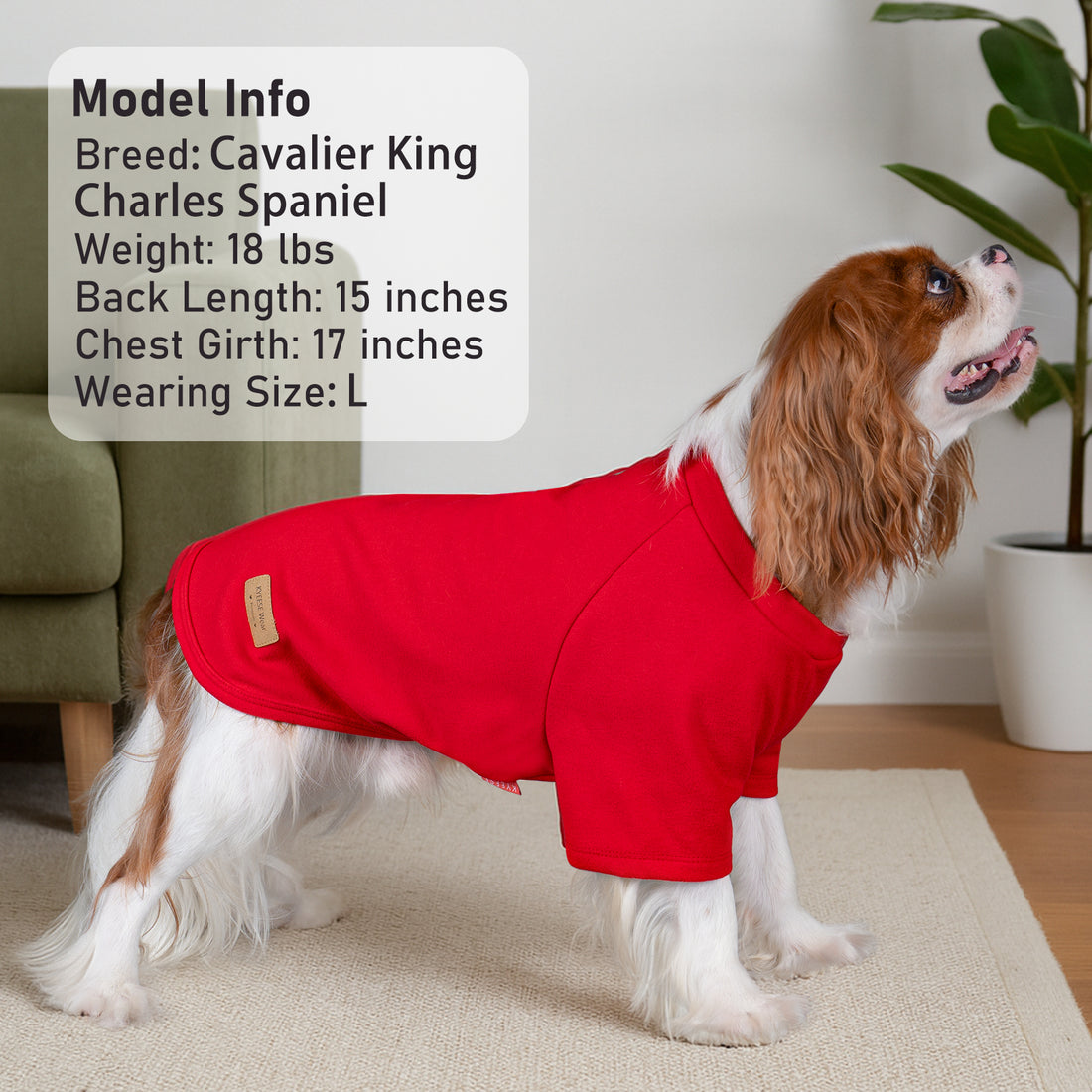 Dog shirt in red with short raglan sleeves