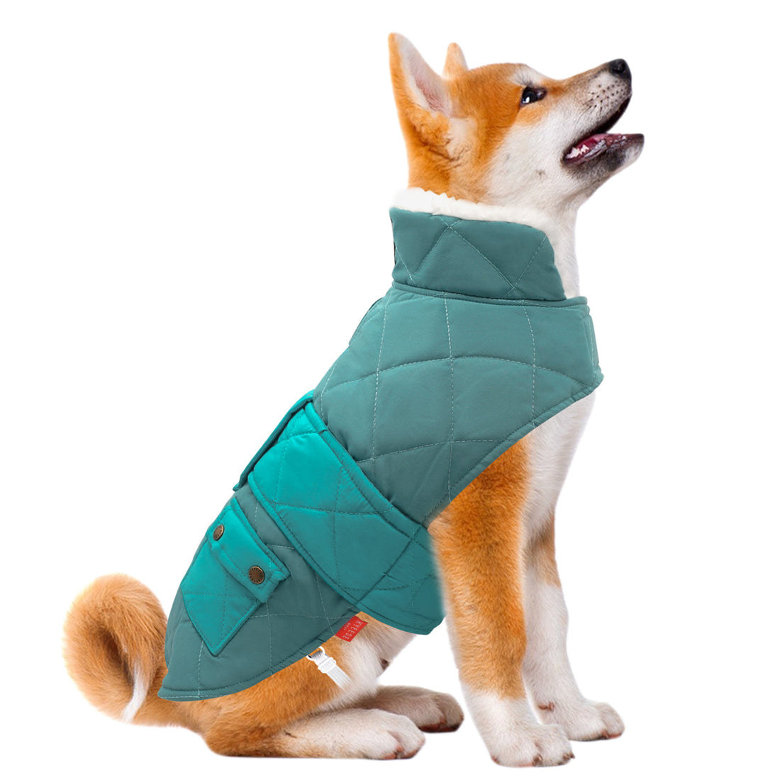 Quilted dog coat with pocket, teal outer with white fleece-lined collar and leg openings.