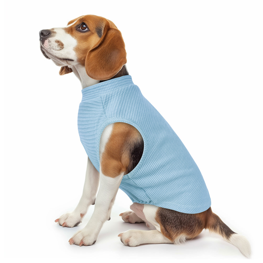 Waffle-knit dog shirt, light blue textured knit with short sleeves and open belly