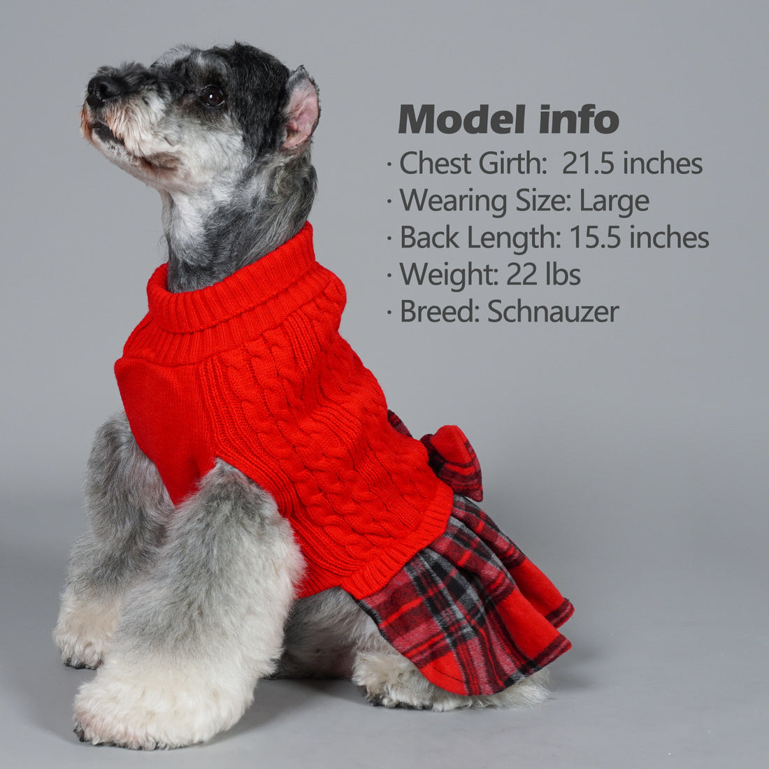 Red cable knit dog sweater with turtleneck and plaid skirt, heart panel