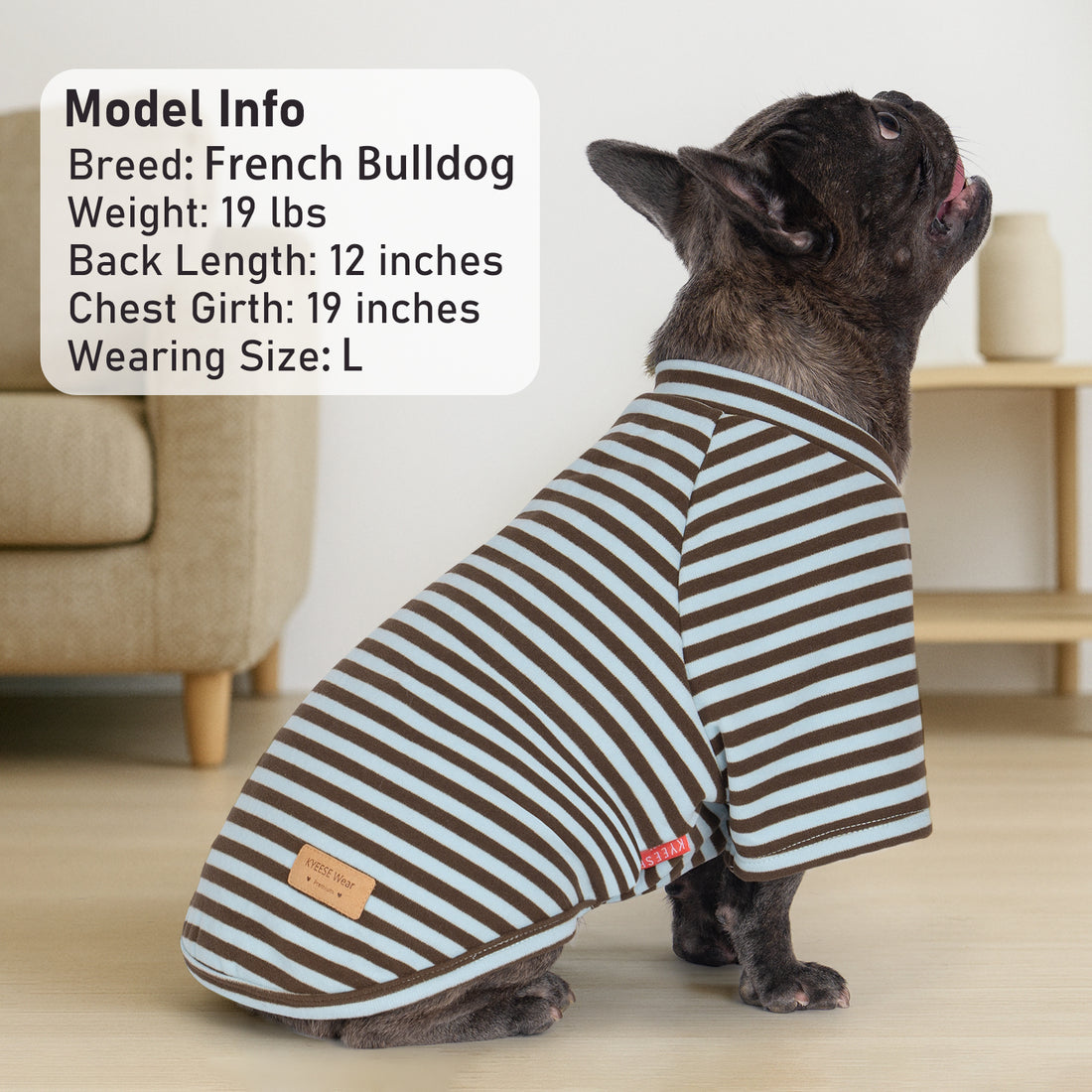 Striped raglan dog shirt, navy and white; short-sleeve pullover