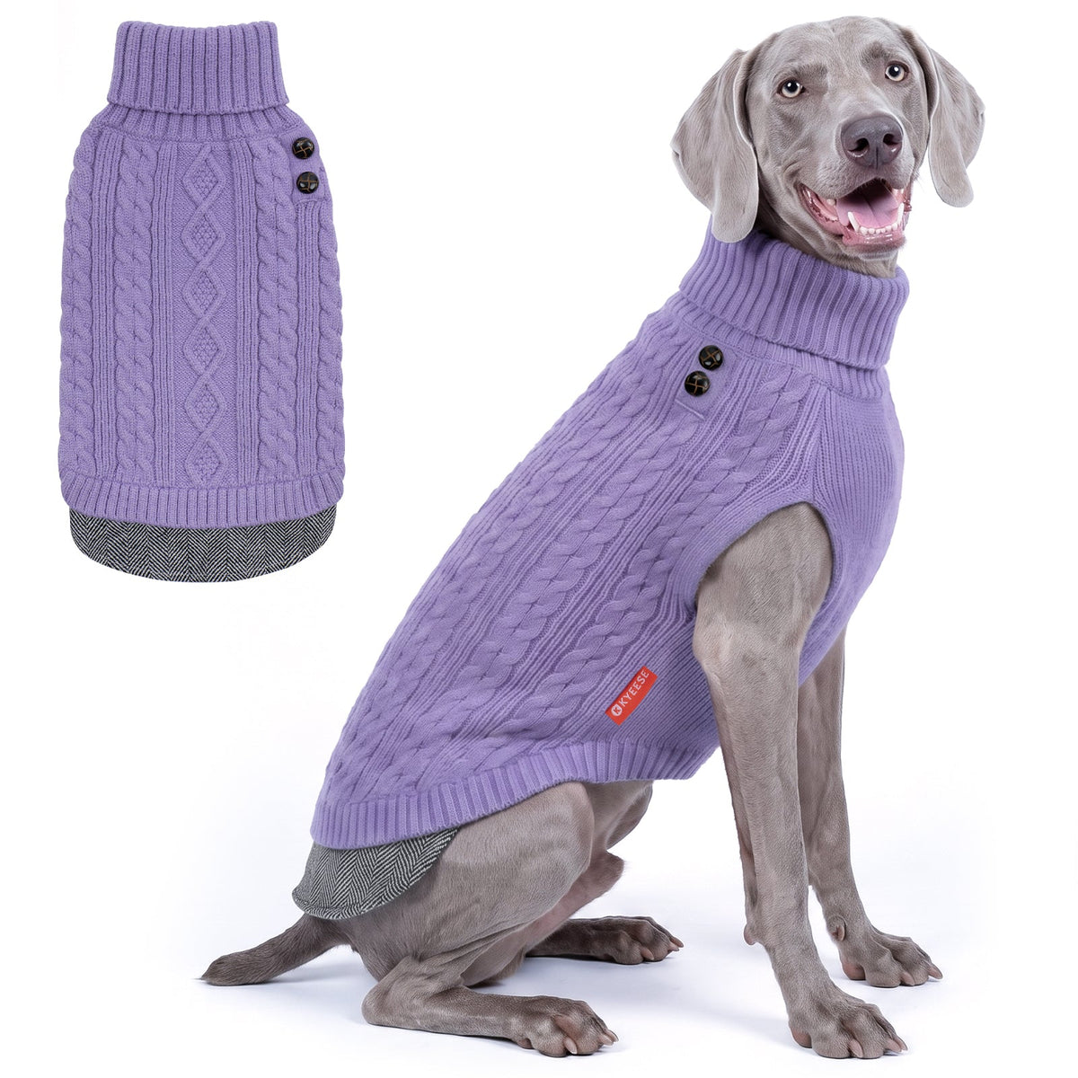 Gray dog seated in purple dog turtleneck sweater with side buttons, side view