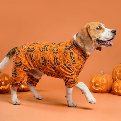 Orange Pumpkin Dog Halloween Pajamas
