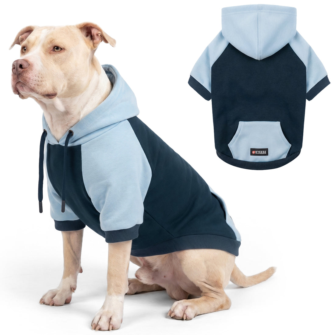 Navy Blue Comfort Dog Hoodie gallery image 3
