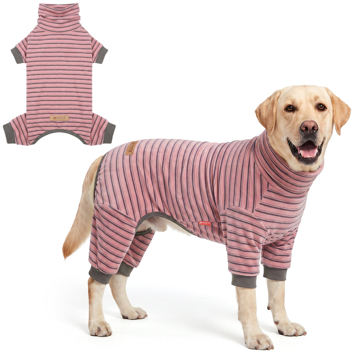 Tan dog wearing pink and gray striped onesie pajamas beside a flat lay