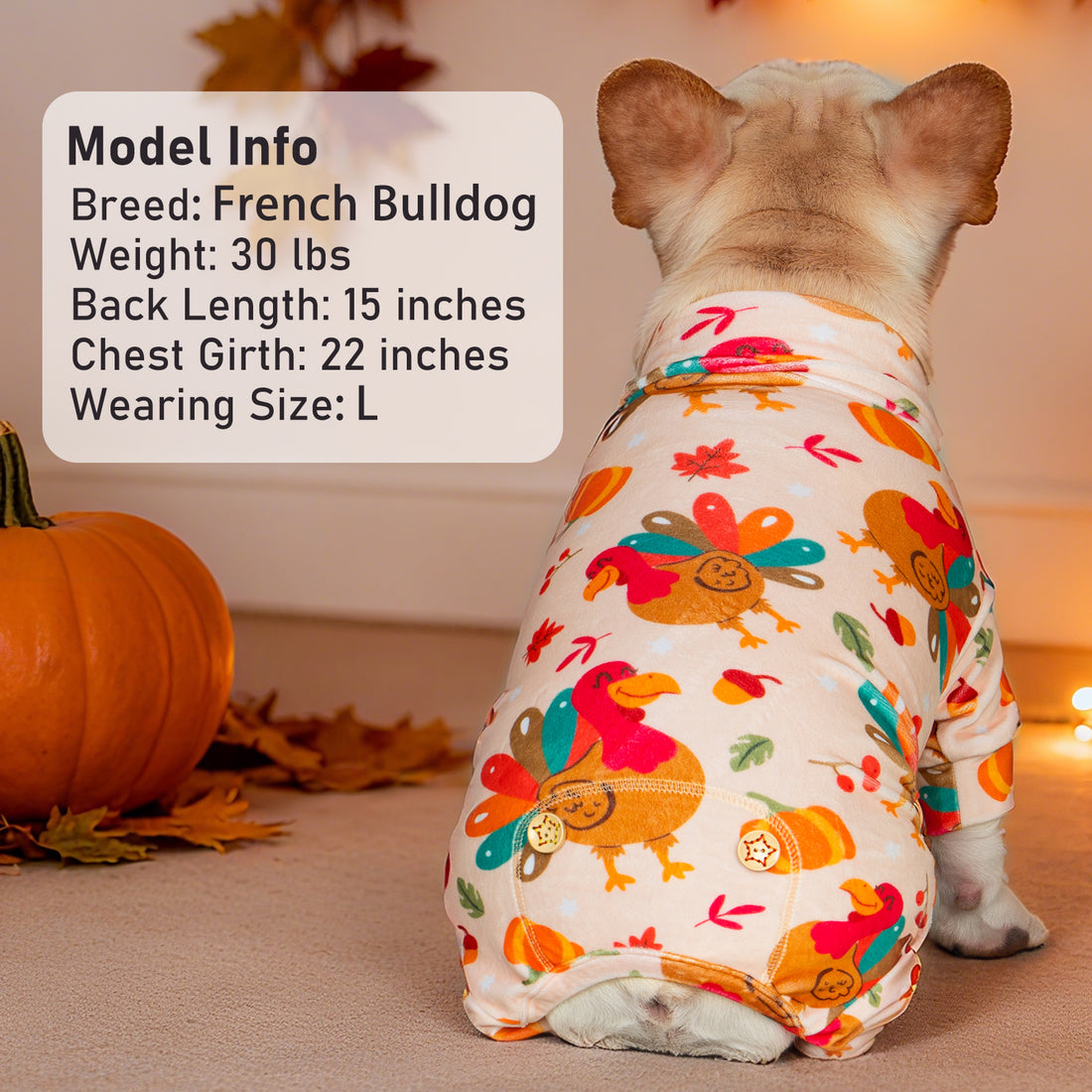 Dog onesie pajamas in cream with colorful turkey and leaf print, back view