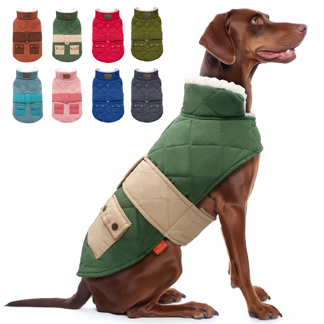 Quilted windproof dog coat with pocket in green with beige straps on a dog