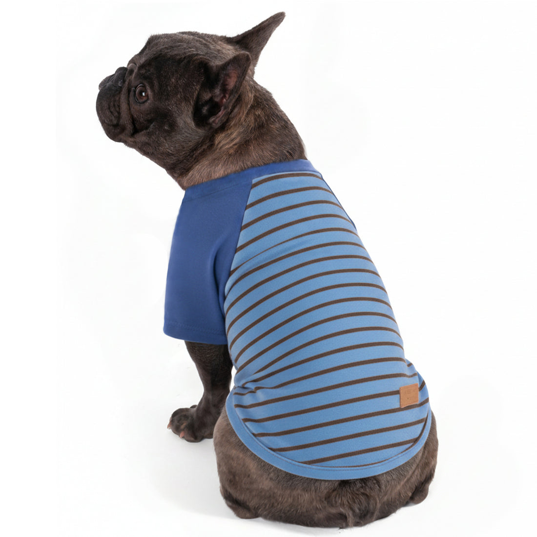 Blue dog raglan shirt with tan horizontal stripes and small brown label patch