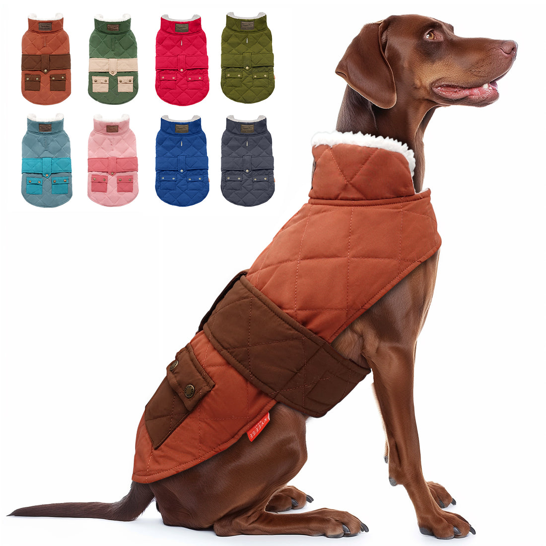 Quilted dog coat with pocket, two-tone orange and brown outer with fleece-lined collar.