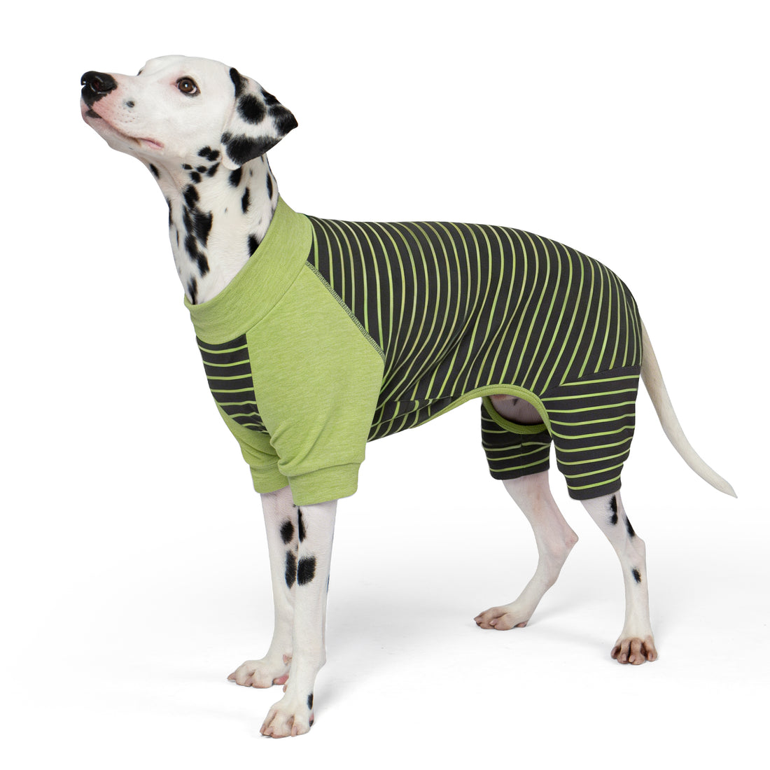 Green striped dog thermal pajamas with long sleeves and striped leg panels.