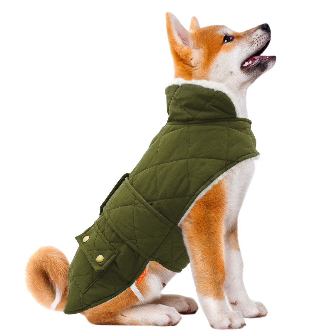 Olive green quilted dog winter coat with hood and front flap pockets