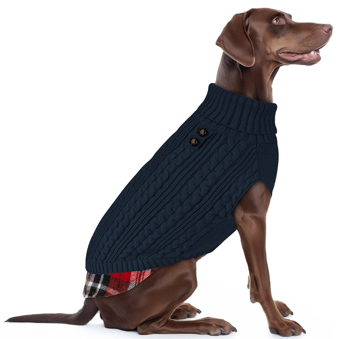 Navy blue knit dog turtleneck sweater with button placket and plaid hem