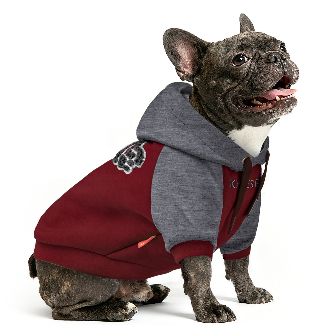 Two-tone dog hoodie with gray hood and sleeves and deep red body, paw applique.