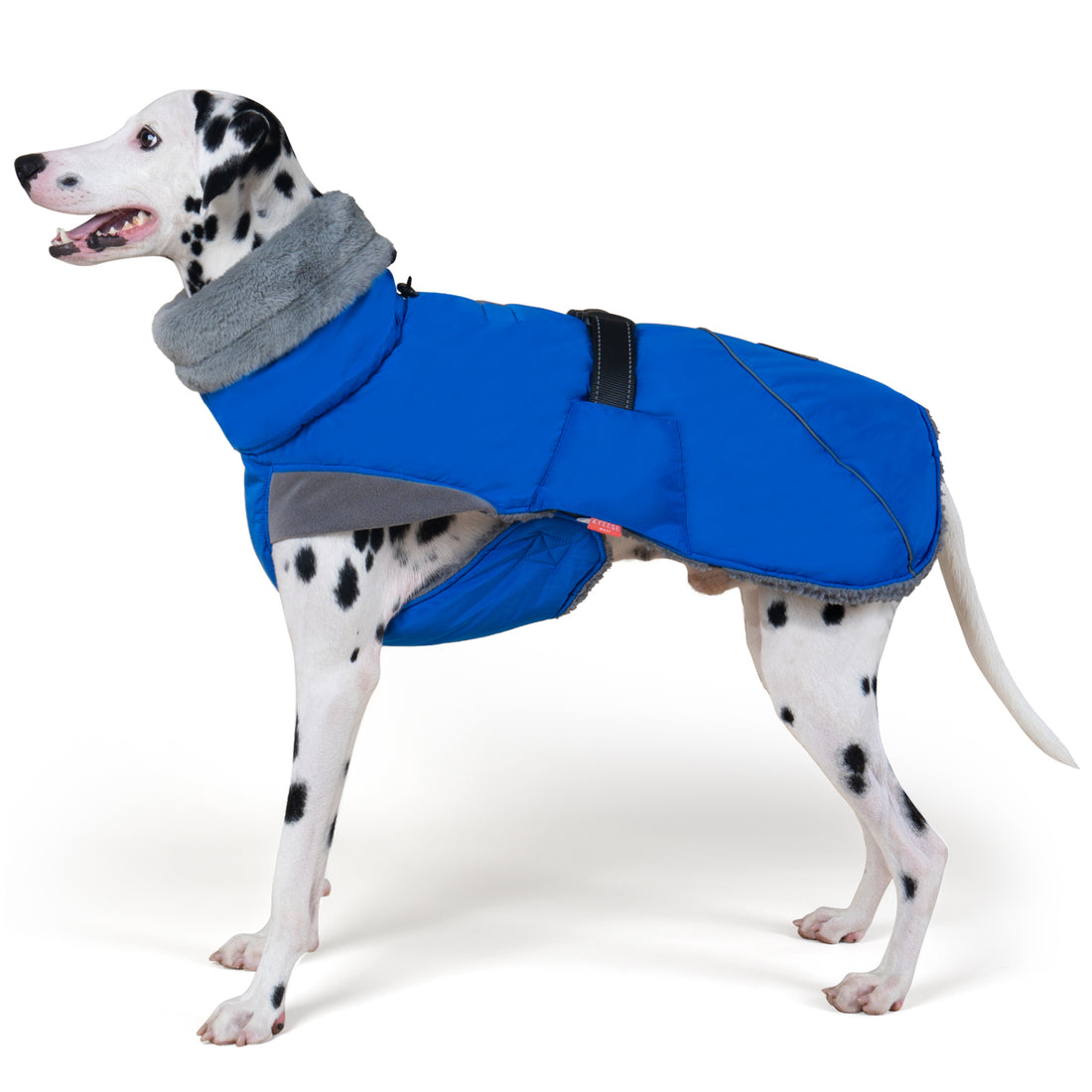 Fleece-lined windproof winter dog coat in blue with gray faux-fur trim and reflective piping.