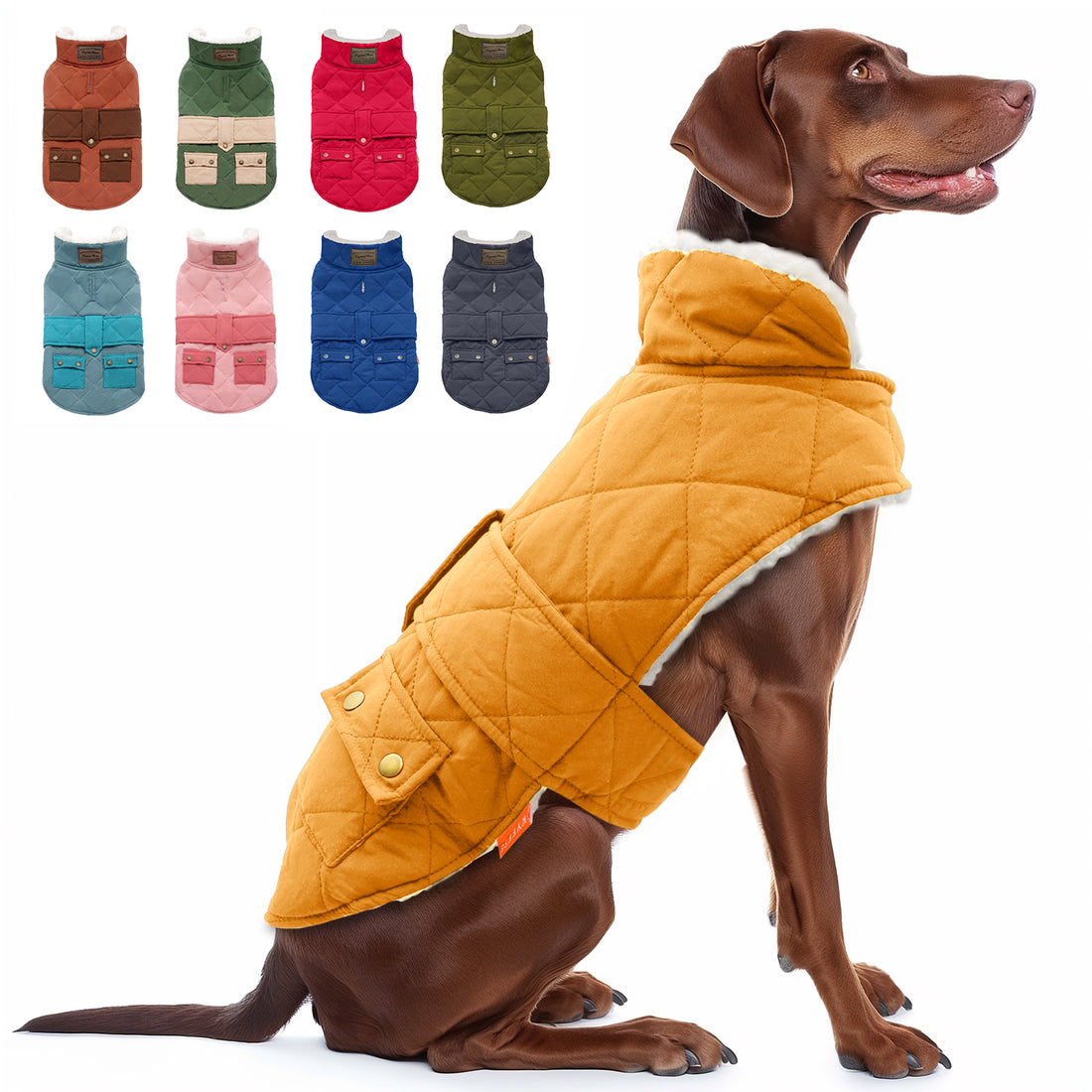 Quilted dog coat with pocket, yellow-orange outer and warm collar lining.