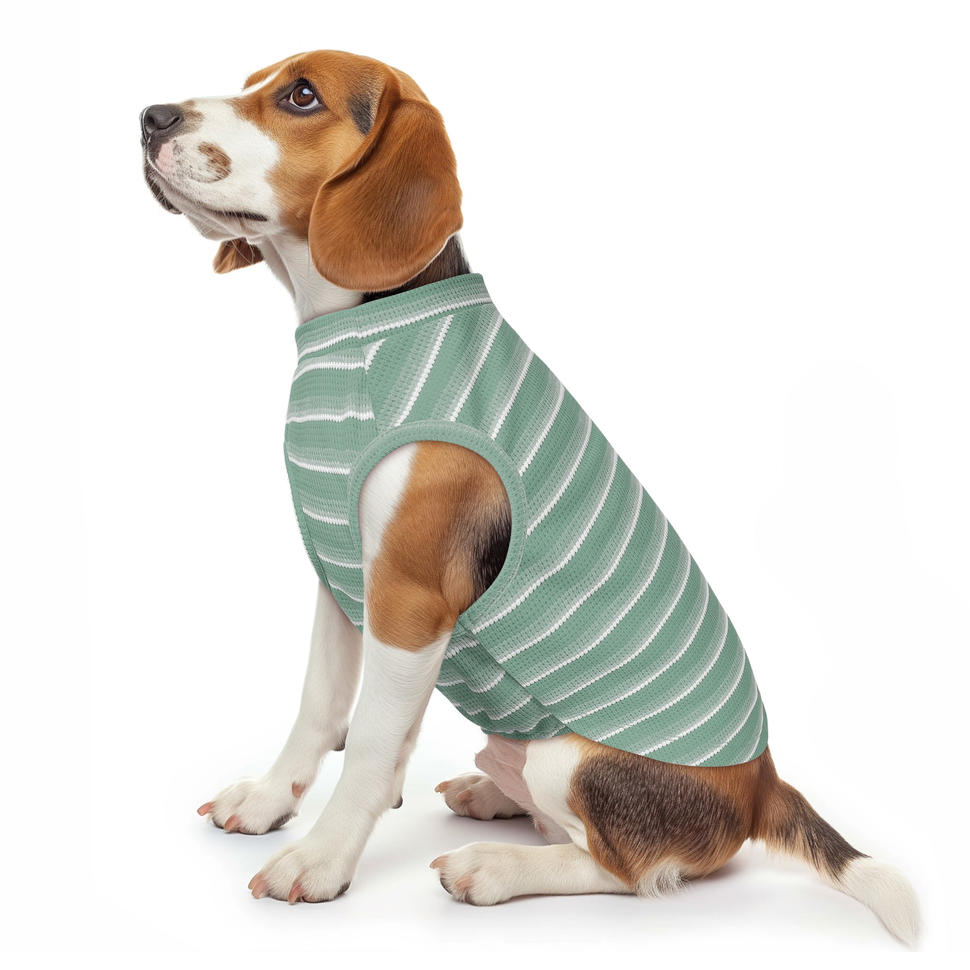 Green striped dog shirt with waffle texture and round neck, worn by small dog.