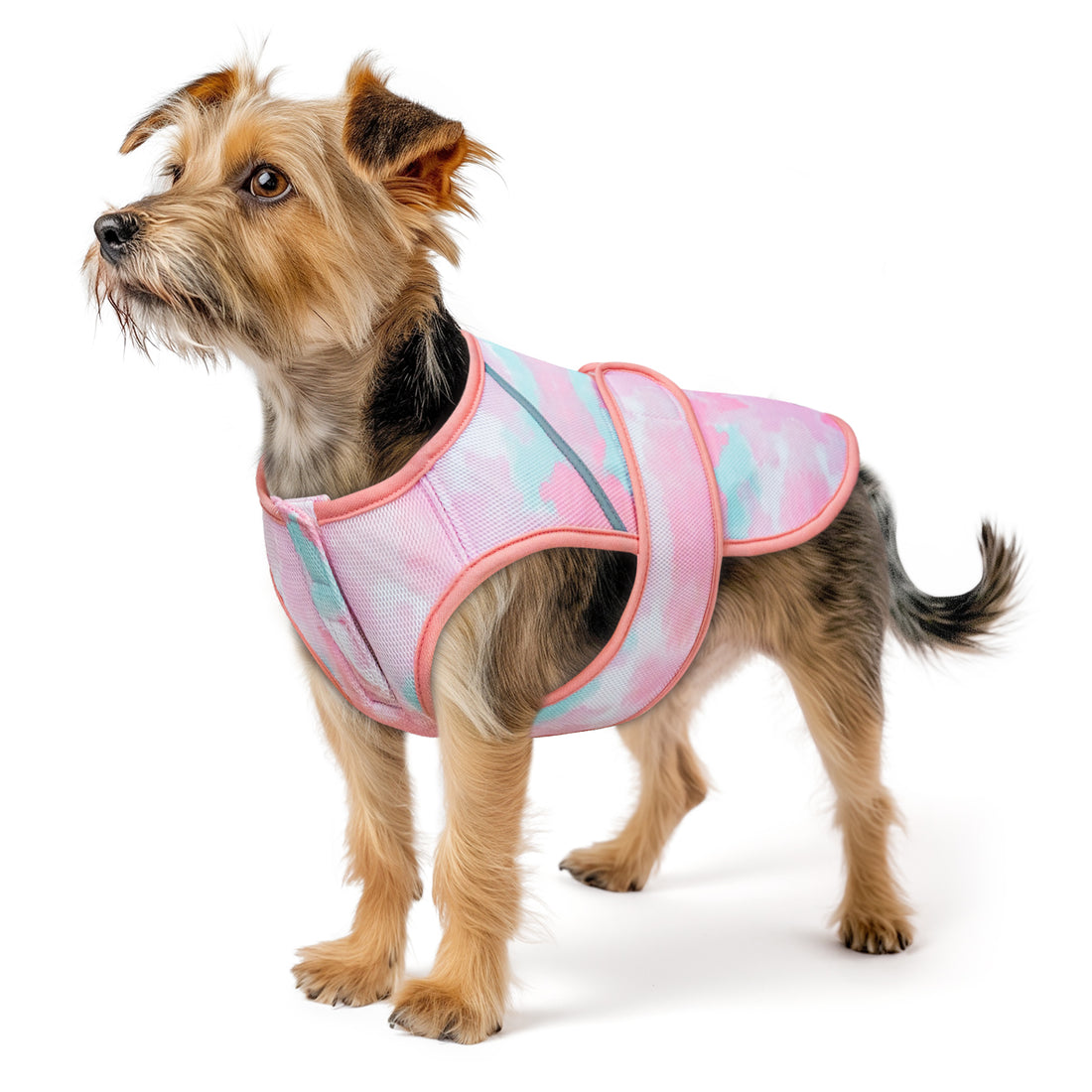 Lightweight mesh cooling dog vest in pink with teal trim and adjustable strap