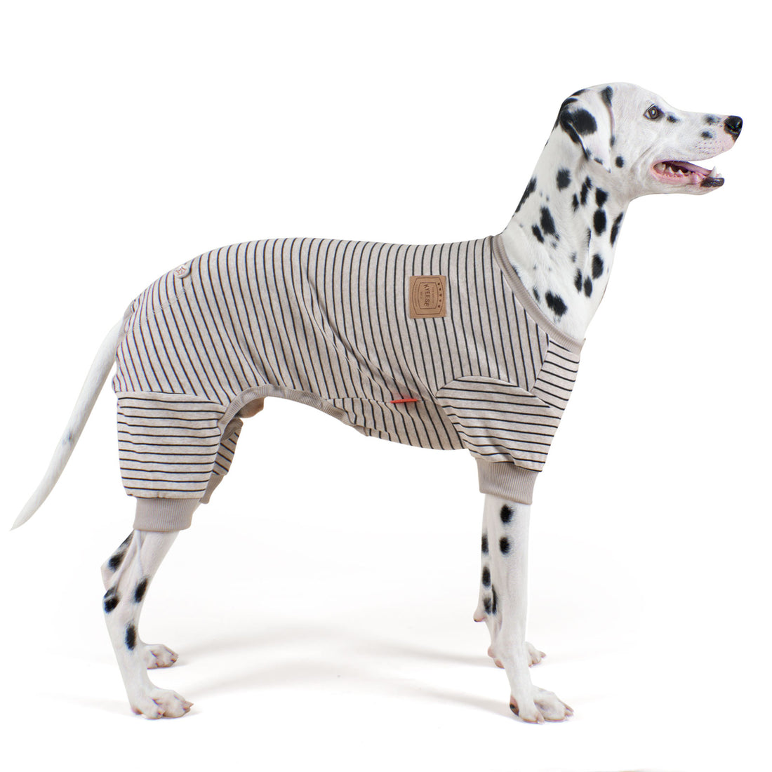 Gray striped dog onesie pajamas with belly cutout and tan logo patch