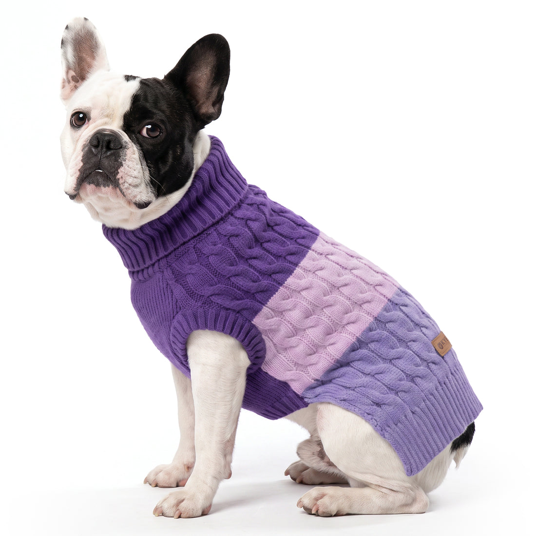 Purple Color Block Dog Pullover Sweater gallery image 4