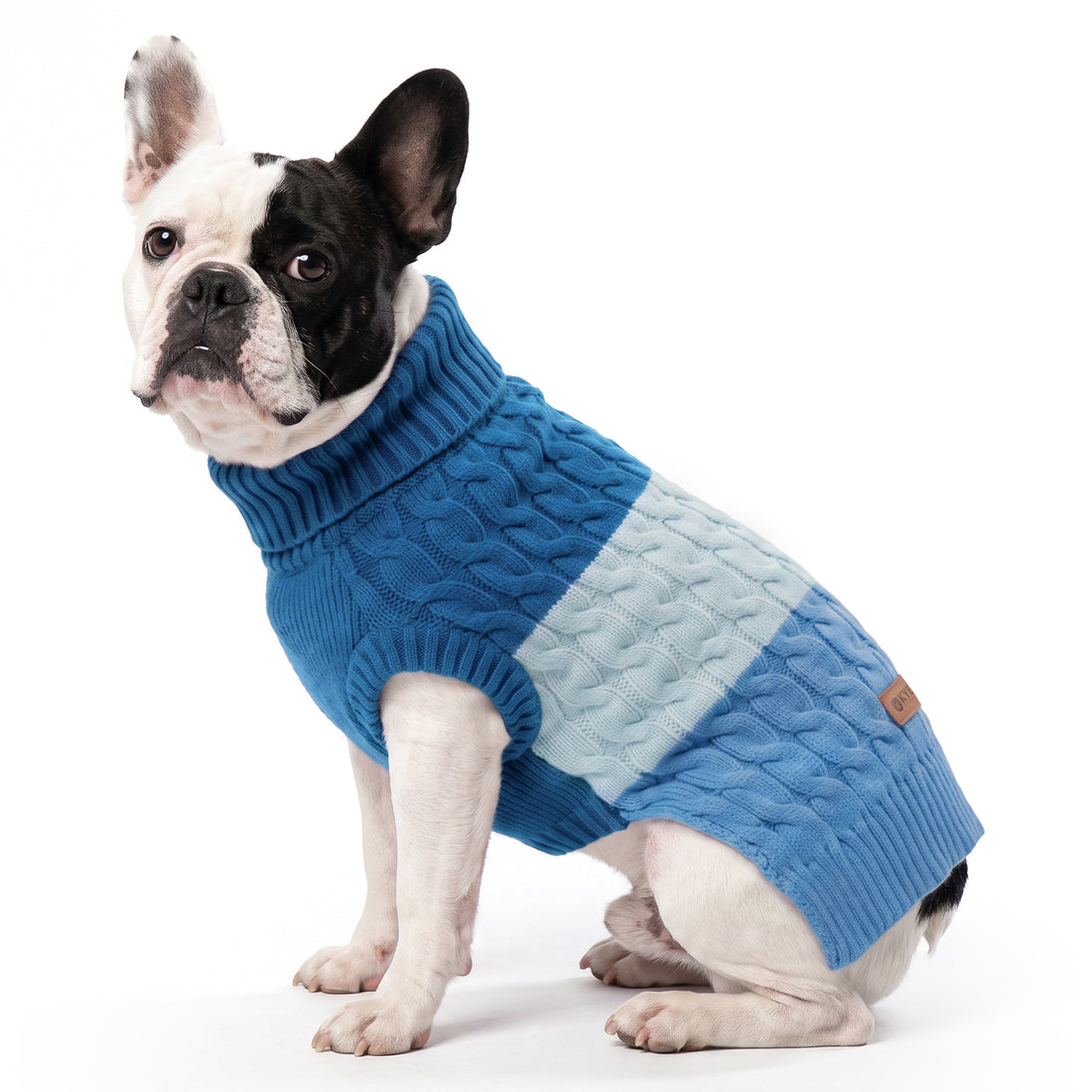 Blue Color Block Dog Pullover Sweater gallery image 4