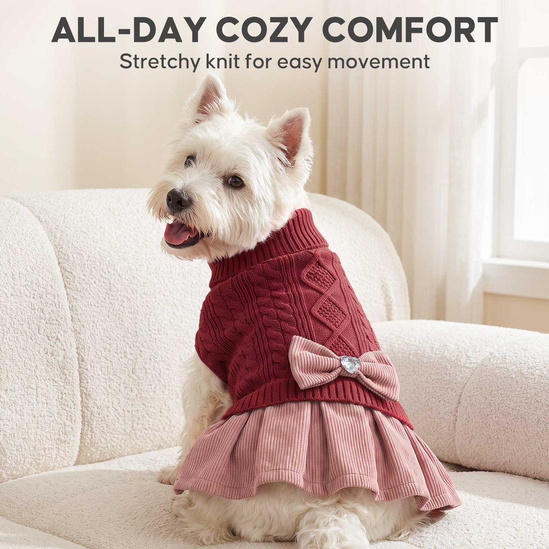 White dog seated on sofa wearing burgundy knit dress with pink skirt and bow