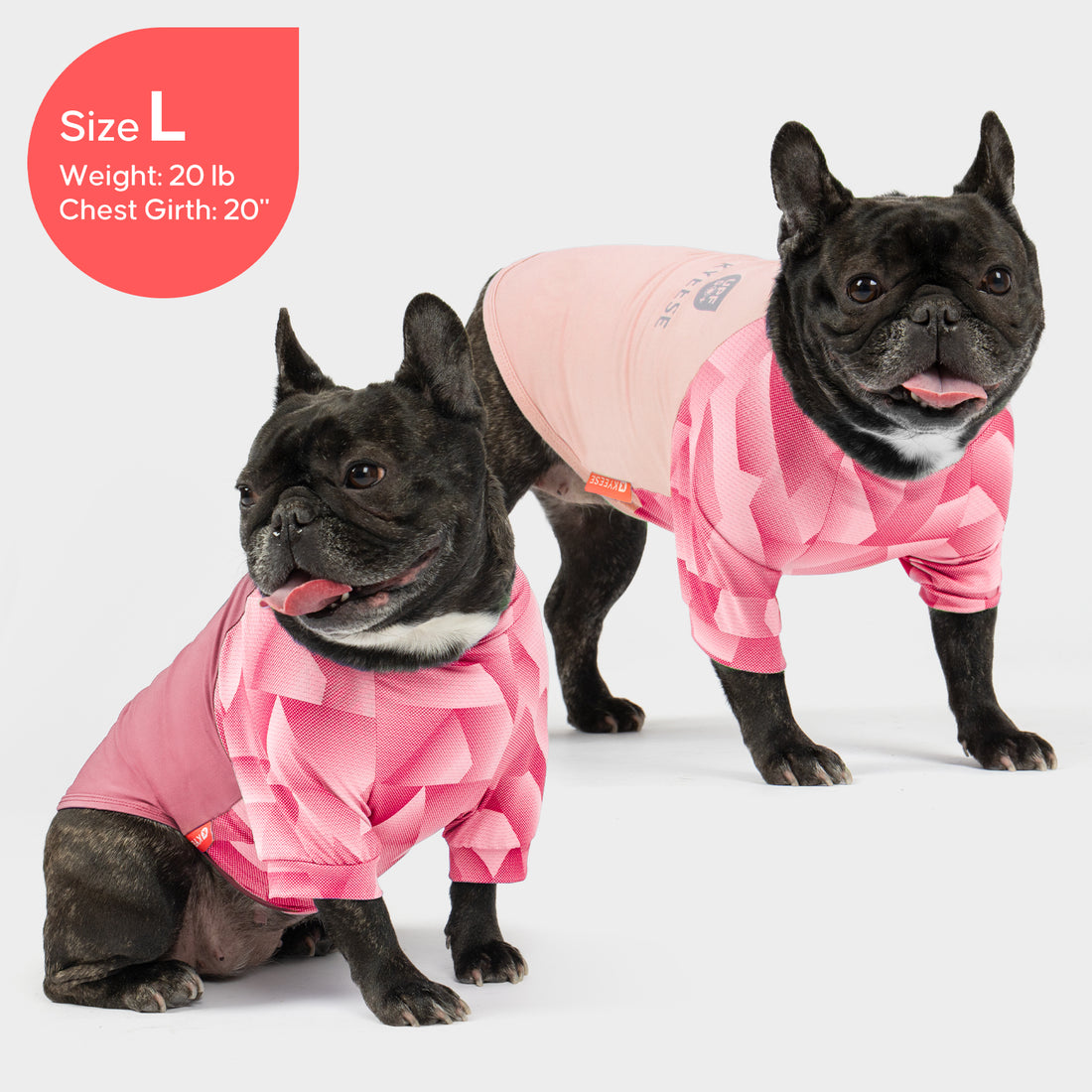 Pink UV dog shirt on black French bulldog, geometric pattern, short sleeves