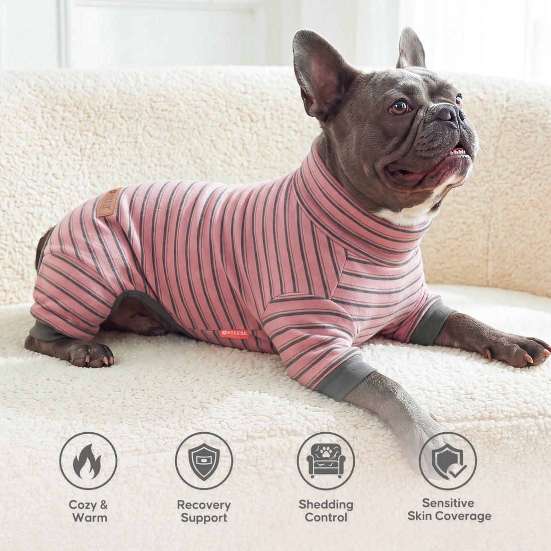 Black French bulldog lying on a sofa in pink striped four leg pajamas