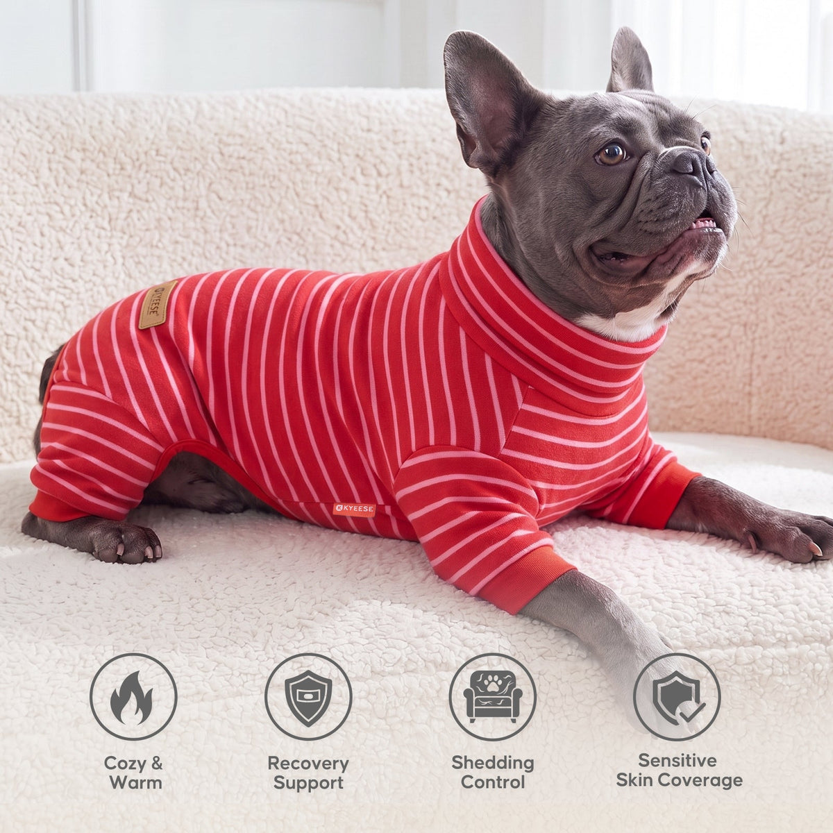 Black French bulldog lying on a sofa in red striped four leg pajamas