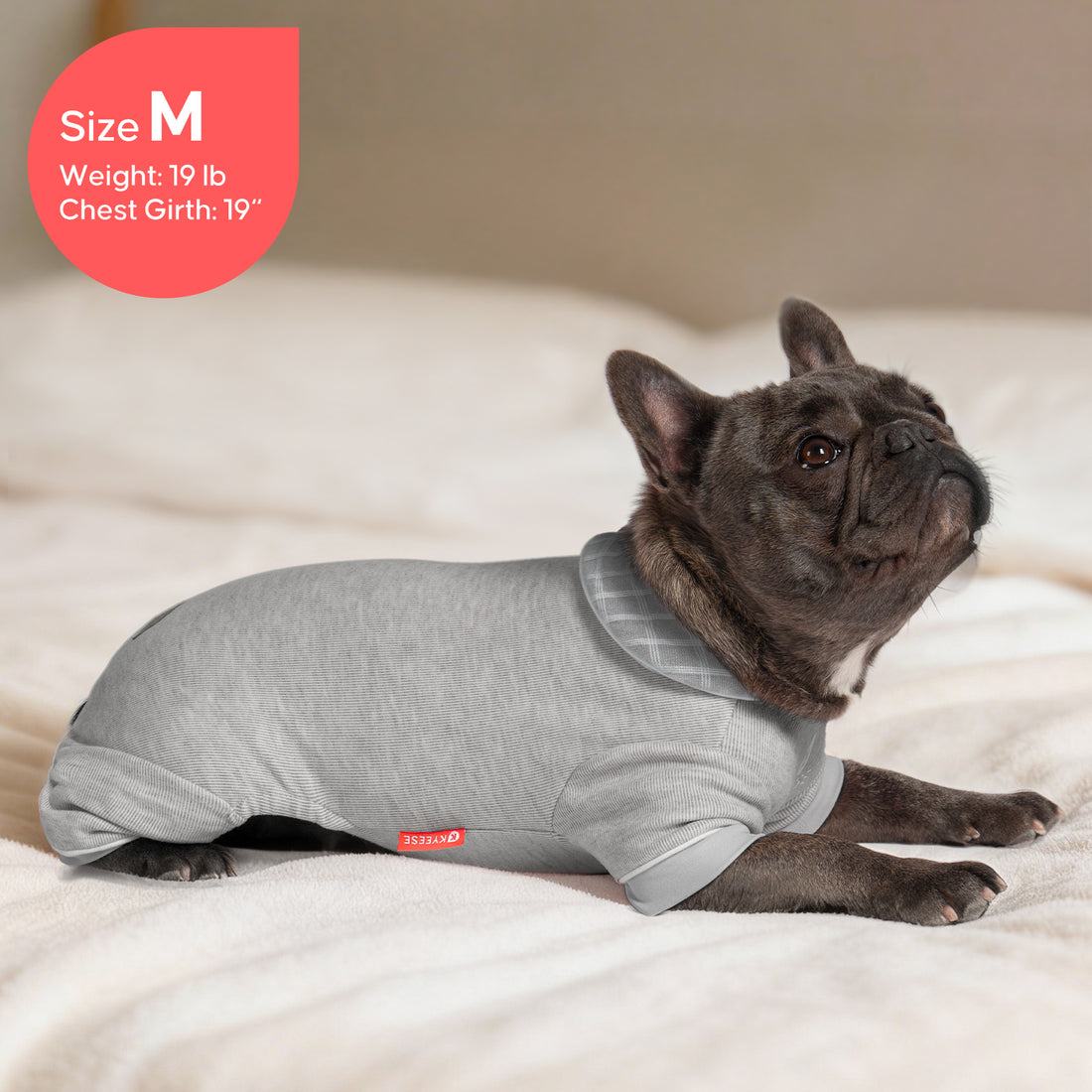 Grey::2XL