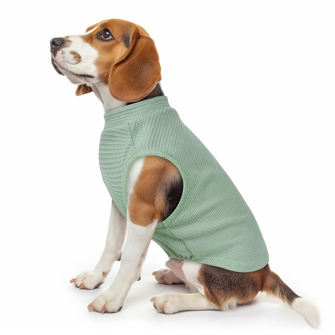 Waffle-knit dog shirt, mint green short sleeves with curved belly opening