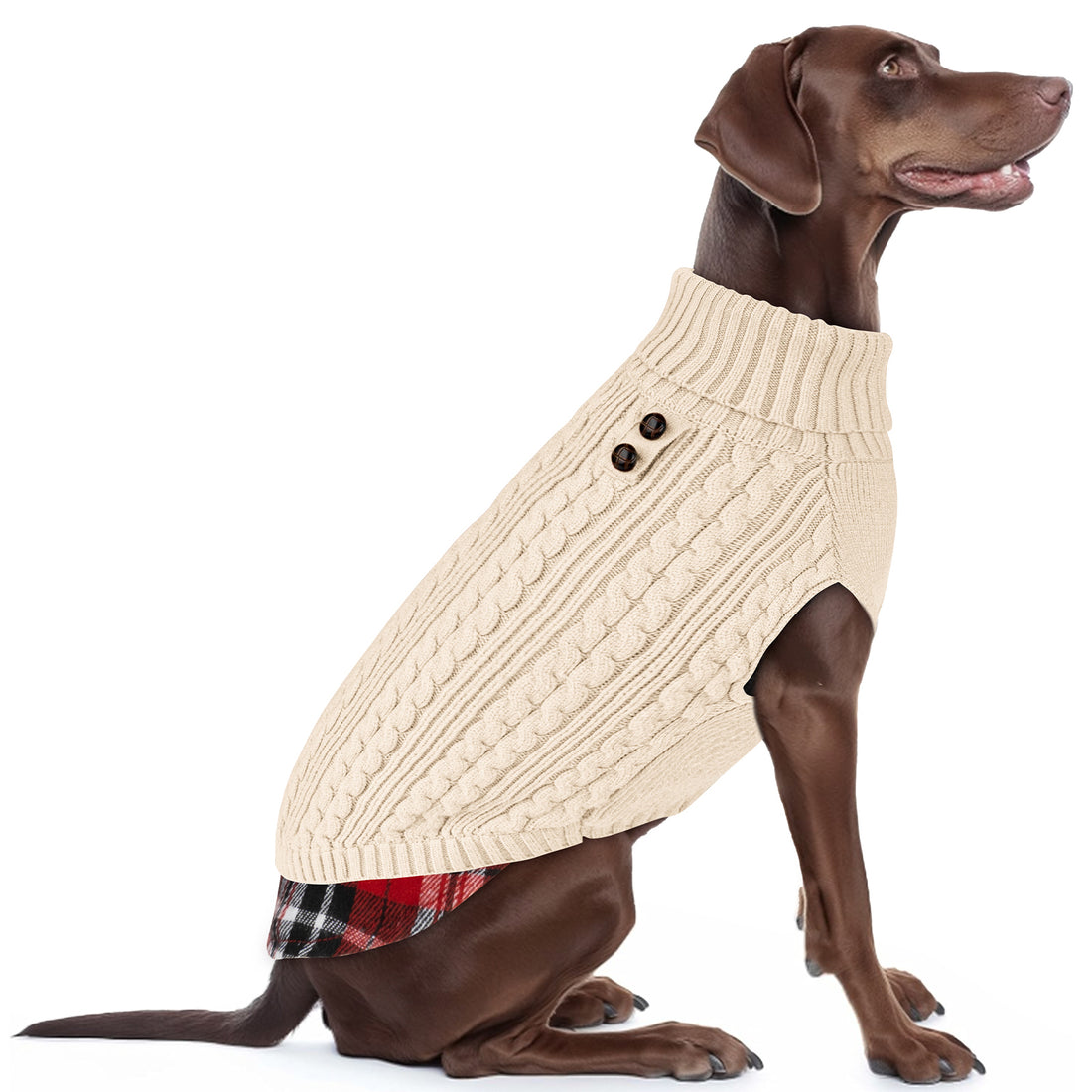 Cream cable-knit dog turtleneck sweater with plaid flannel hem and button decor