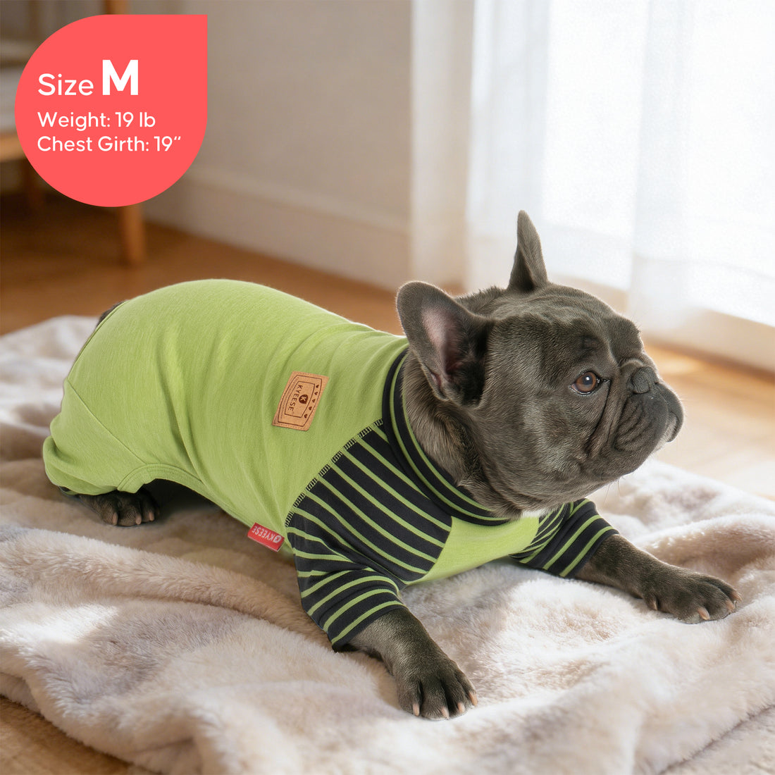 Green thermal dog pajamas with dark green striped turtleneck on a lying dog
